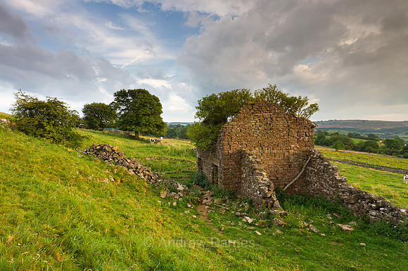 An abandoned stone farm building catches the late afternoon summer sunshine in a near near Ilam, Derbyshire, England